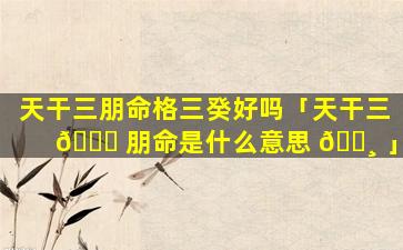 天干三朋命格三癸好吗「天干三 💐 朋命是什么意思 🌸 」